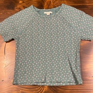American Eagle crop t shirt